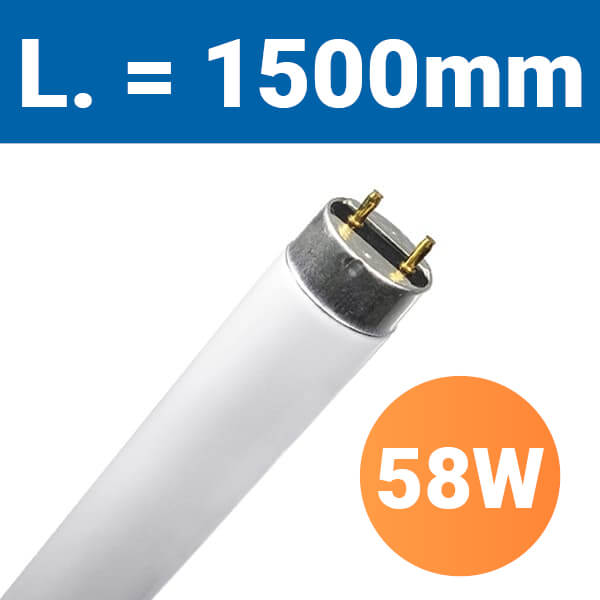 tube-fluo-01406