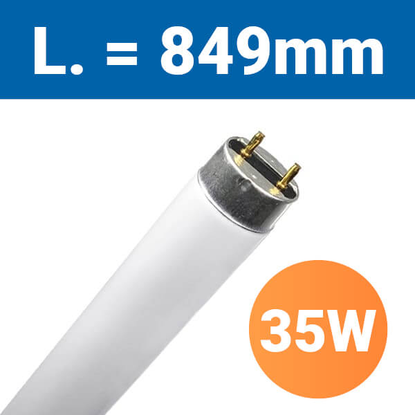 T5_35W849.jpg